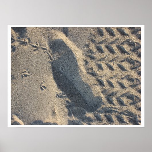 evolution ポスター (正面)