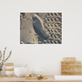 evolution ポスター (キッチン)