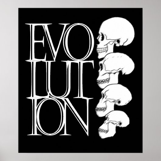 Evolution(黒、白縁ど) ポスター (正面)