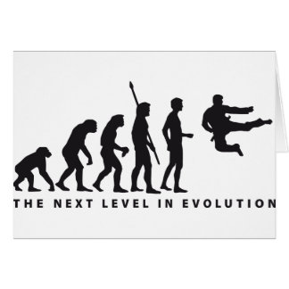 evolution martial arts