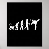 Evolution Of Karate  ポスター (正面)