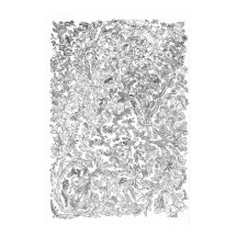 Evolution Poster - Tree of Life – 白黒