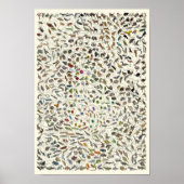 Evolution - Tree of Life Poster ポスター (正面)