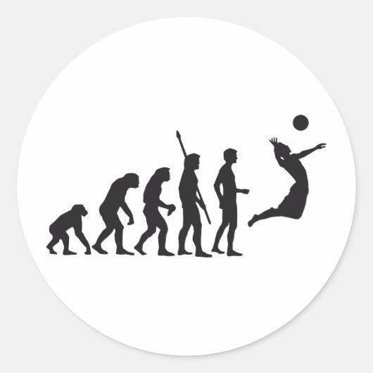 evolution volleyball ラウンドシール (正面)