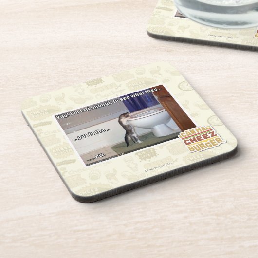 ew コースター (左側)