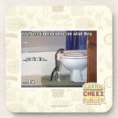 ew コースター (正面)