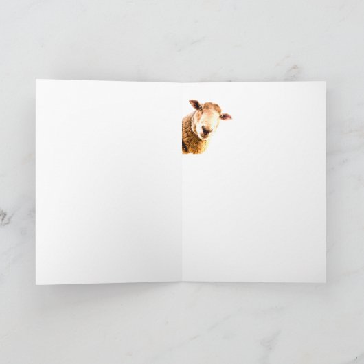 EWEおもしろいおめでとう羊カード カード (内部)