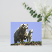 EweとLambはがき ポストカード (スタンド正面)