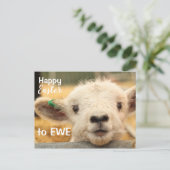 EWEへのハッピーイースター。 シーズンポストカード (スタンド正面)