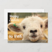 EWEへのハッピーイースター。 シーズンポストカード (正面/裏面)