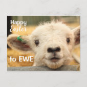 EWEへのハッピーイースター。 シーズンポストカード (正面)