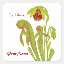 Ex Librisピッチャー植物ブックシール スクエアシール