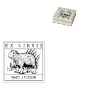 Ex Libris, Capybara Book ラバースタンプ (押印)