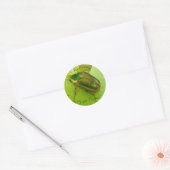 Ex libris Green June Beetleスタンプ ラウンドシール (封筒)