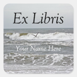 Ex Libris - Surf and Gull Sticker スクエアシール