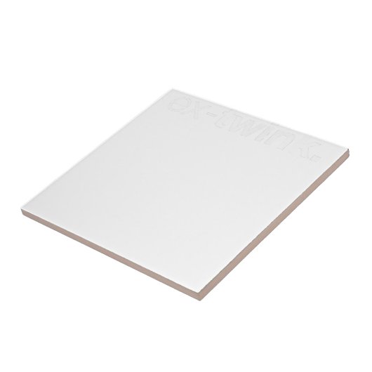 Ex-Twinkゲイ タイル (側面)