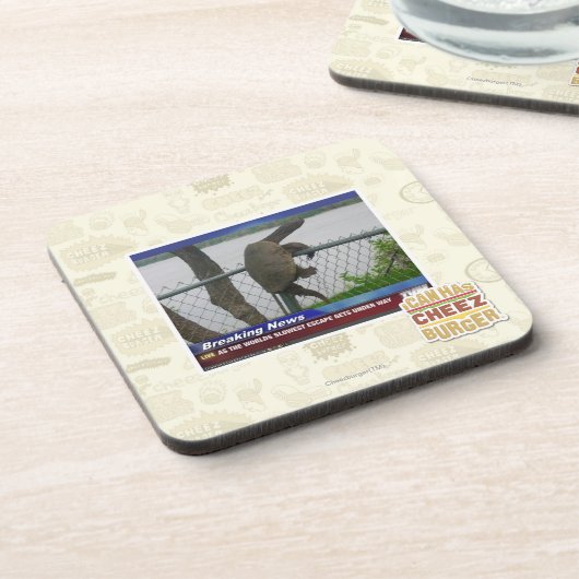 Excapingのカメ コースター (左側)