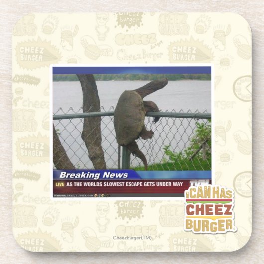 Excapingのカメ コースター (正面)