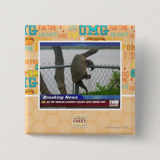 Excapingのカメ 缶バッジ (正面)