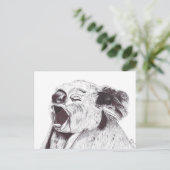 EXHAUSTED KOALA シーズンポストカード (スタンド正面)