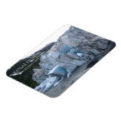 Exit Glacier Toe, Kenai Fjords国立公園， AK マグネット (左側)