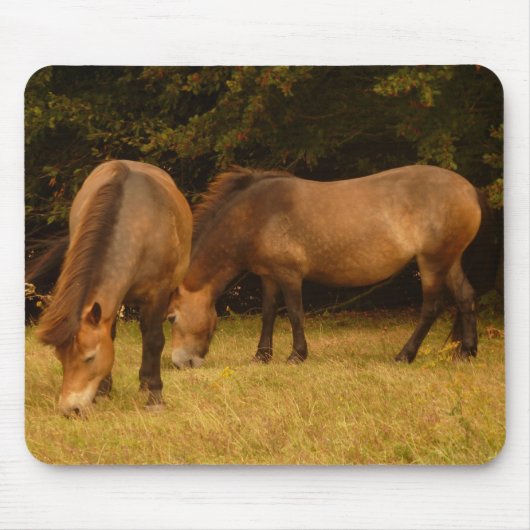 Exmoorの子馬のマウスパッド マウスパッド (正面)