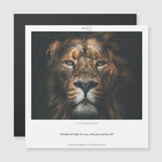 Exodus 14:14 GOODS、SCRIPIX磁気カードを約束 マグネット招待状 (正面/裏面)