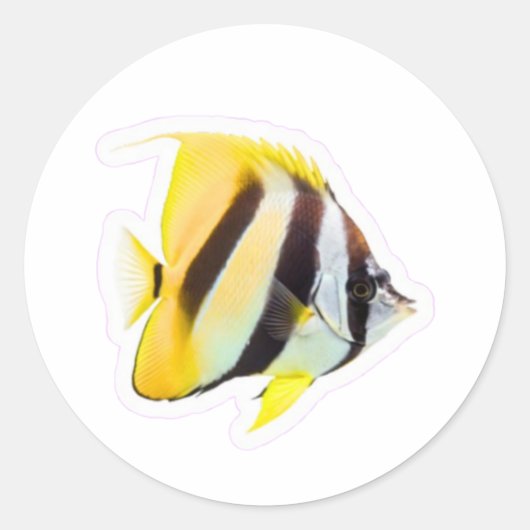 Exotic Butterfly Fish - Vibrant Coral Reef Beauty  ラウンドシール (正面)