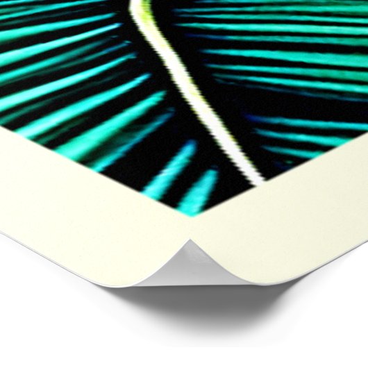 Exotic Flower Garden Dreams ポスター (角)