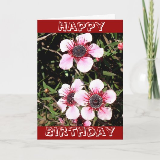 Exotic flowers birthday card カード (正面)
