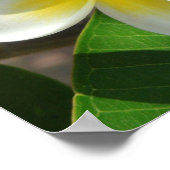 Exotic Hawaiian Flowers ポスター (角)
