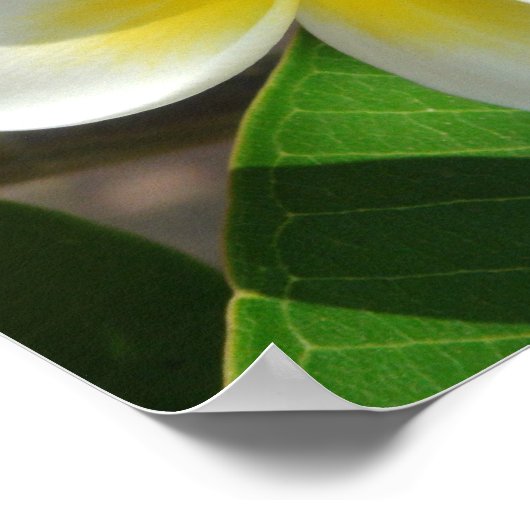 Exotic Hawaiian Flowers ポスター (角)