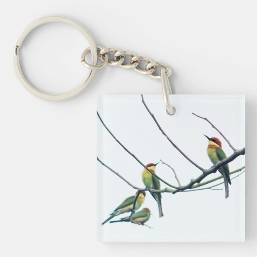 Exotic Indian kerala Bee-Eater Birds on Branch キーホルダー (正面)