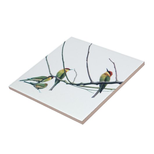 Exotic Indian kerala Bee-Eater Birds on Branch タイル (側面)