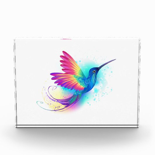 Exotic Rainbow Hummingbird フォトブロック (正面)