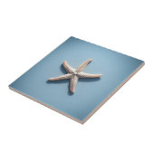 Exotic Starfish with Blue Blackground タイル (側面)