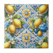 Exotic Tile Accents | Morrocan Mediterranean Lemon タイル (正面)
