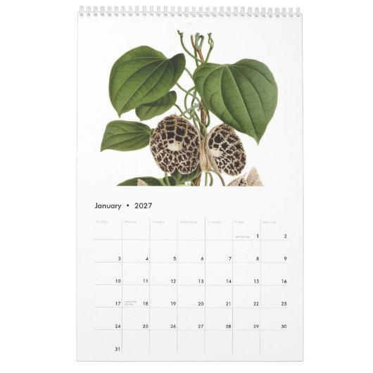 Exotics 2015年 カレンダー (1月 2027)