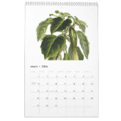 Exotics 2015年 カレンダー (3月 2026)