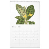 Exotics 2015年 カレンダー (2月 2026)