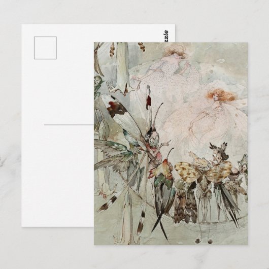 “Exotics at Play” by A Duncan Carse ポストカード (正面/裏面)