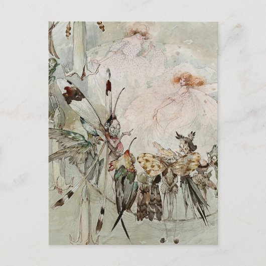 “Exotics at Play” by A Duncan Carse ポストカード (正面)