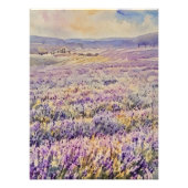 Expansive Lavender Field  フォトプリント (正面)