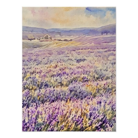 Expansive Lavender Field  フォトプリント (正面)