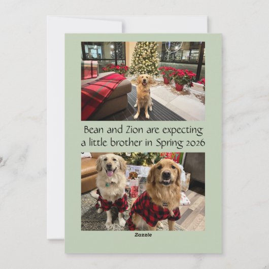 Expecting More Joy Holiday Card シーズンカード (裏面)