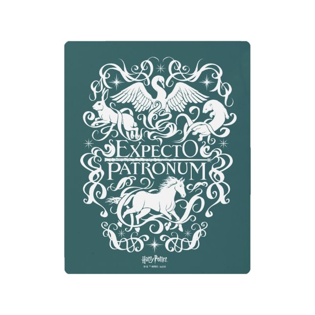 Expectto Pathoulum Filigreeグラフィック メタルプリント (正面)
