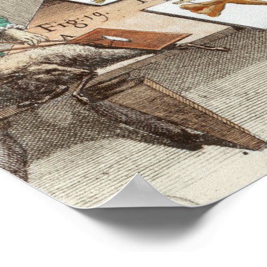 Experiment on frogs ポスター (角)