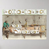 Experiment on frogs ポスター (正面)