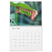 Explore OhioアウトドアCaterpillesカレンダー2nd Ed カレンダー (3月 2027)