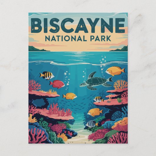Exploring Biscayne National Park Florida Waters ポストカード (正面)